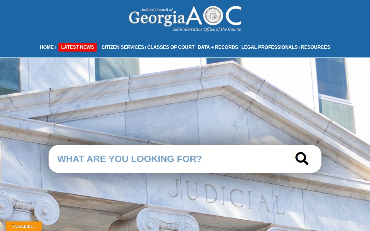 Georgia record restriction guidance for Effingham County booking records
